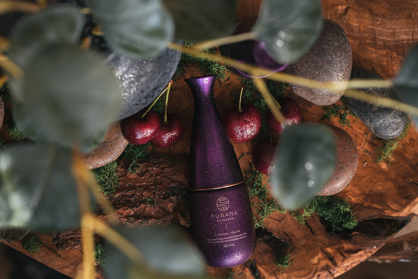 Eternal Youth | Advanced Rejuvenation Concentrate